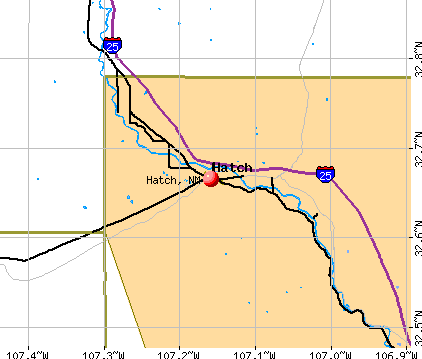 Hatch, NM map