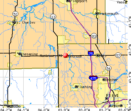 Montrose, MI map