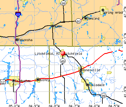 Litchfield, MI map