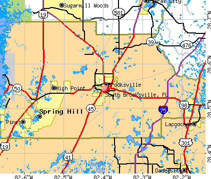 South Brooksville, FL map