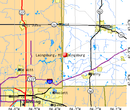 Laingsburg, MI map