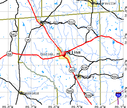 Collins, MS map