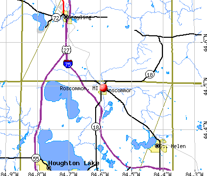 Roscommon, MI map