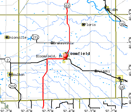 Bloomfield, IA map