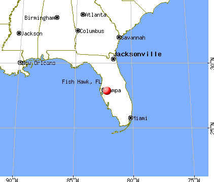 Fish Hawk, Florida map