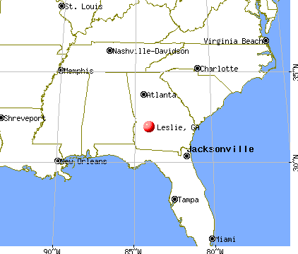 Leslie, Georgia map