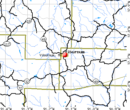Viburnum, MO map