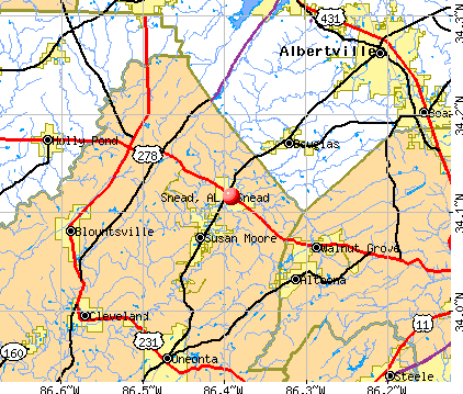 Snead, AL map