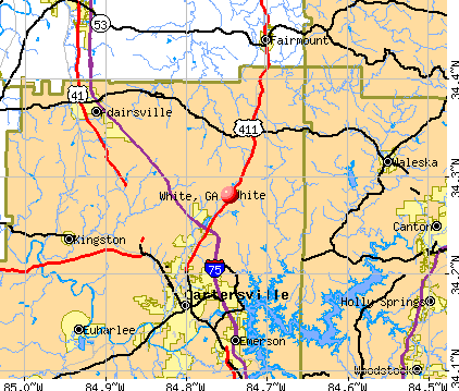 White, GA map