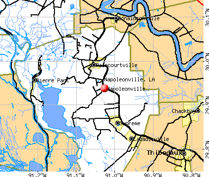 Napoleonville, LA map