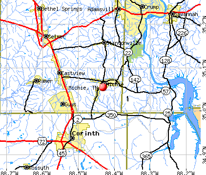 Michie, TN map