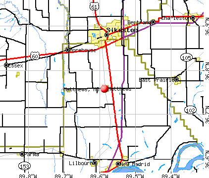 Matthews, MO map