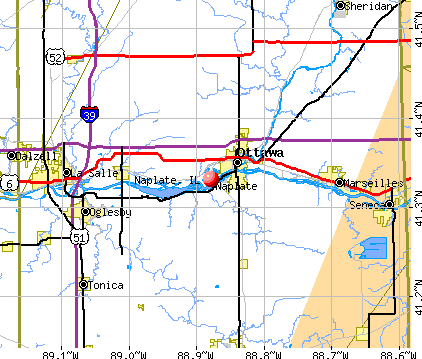Naplate, IL map