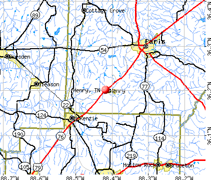 Henry, TN map