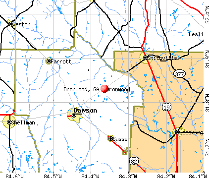 Bronwood, GA map