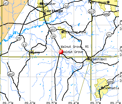 Walnut Grove, MS map