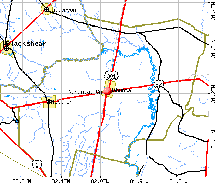 Nahunta, GA map