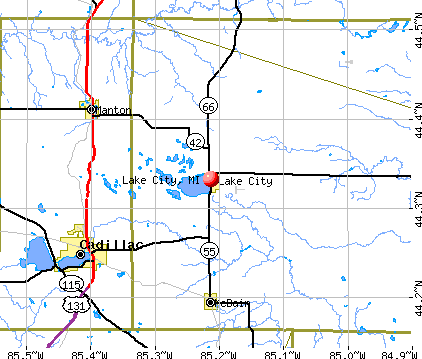 Lake City, MI map
