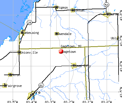 Gagetown, MI map