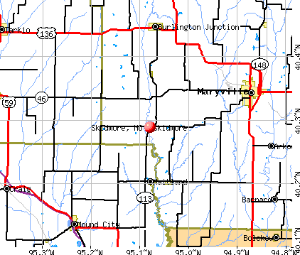 Skidmore, MO map