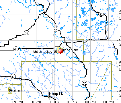 White Lake, WI map