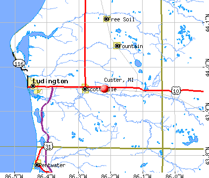 Custer, MI map
