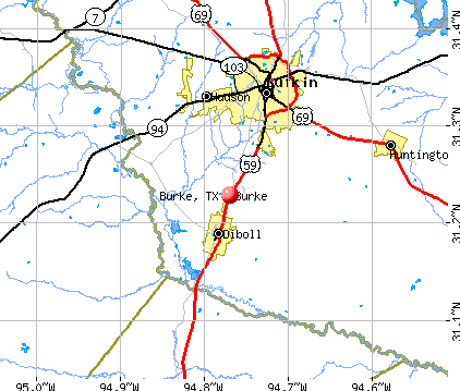 Burke, TX map