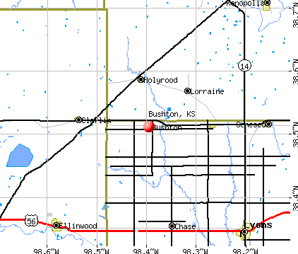 Bushton, KS map
