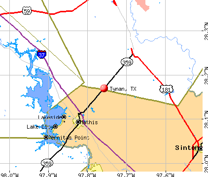 Tynan, TX map