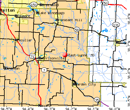 East Lynne, MO map
