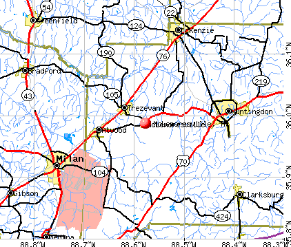 McLemoresville, TN map