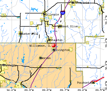 Williamson, IL map