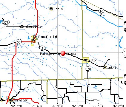 Pulaski, IA map
