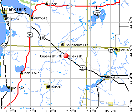 Copemish, MI map