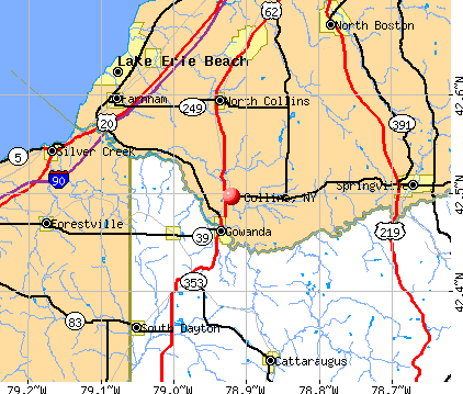 Collins, NY map