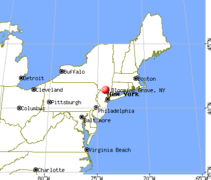 Blooming Grove, New York map
