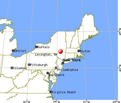 Lexington, New York map