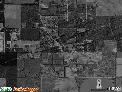 Bell Florida FL 32619 profile - Tr19854 