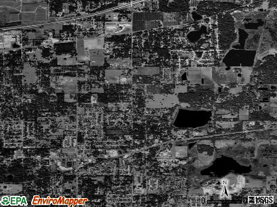 Seffner Florida FL 33584 profile - Tr5681