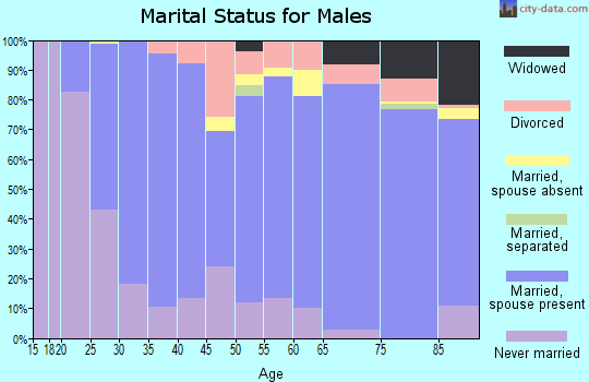Burt County marital status for males