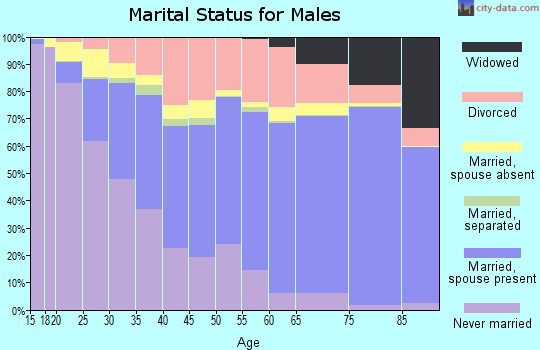 Cochise County marital status for males