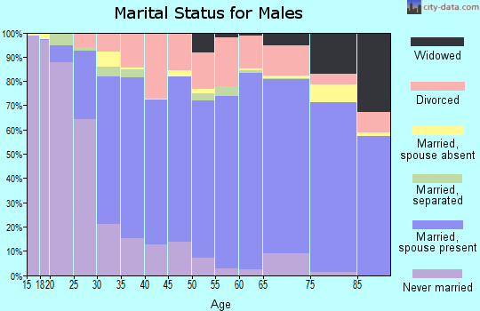 Champaign County marital status for males