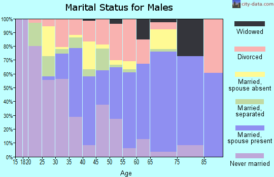 Bland County marital status for males