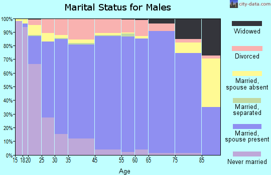Costilla County marital status for males