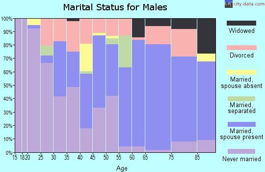 Bleckley County marital status for males