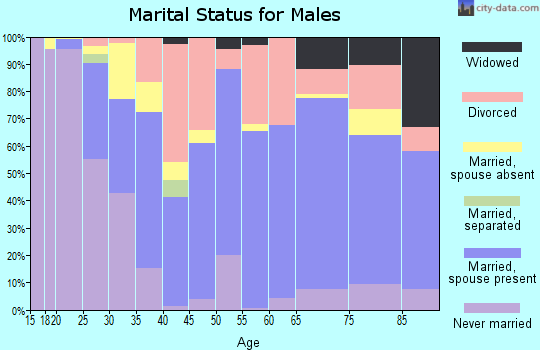 Alamosa County marital status for males