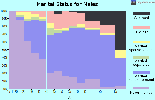 Burke County marital status for males