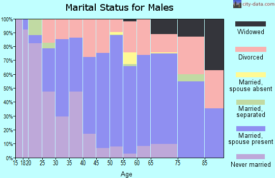 Chester County marital status for males