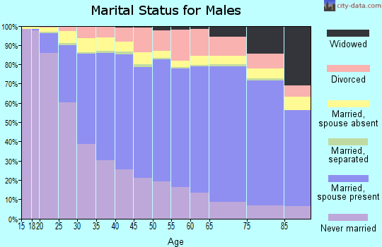 Honolulu County marital status for males