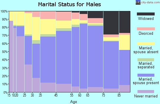 Fallon County marital status for males